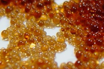 Hạt cation là gì