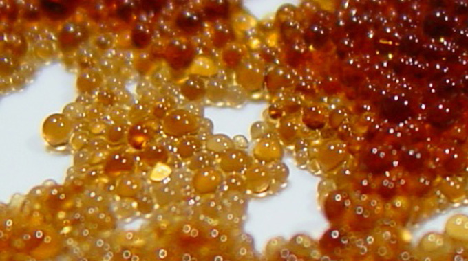 Hạt cation là gì