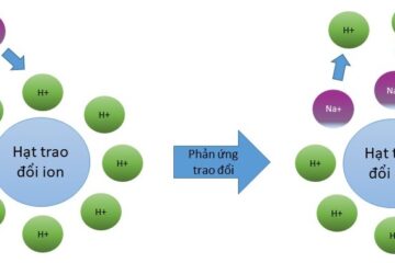Hạt trao đổi ion là gì