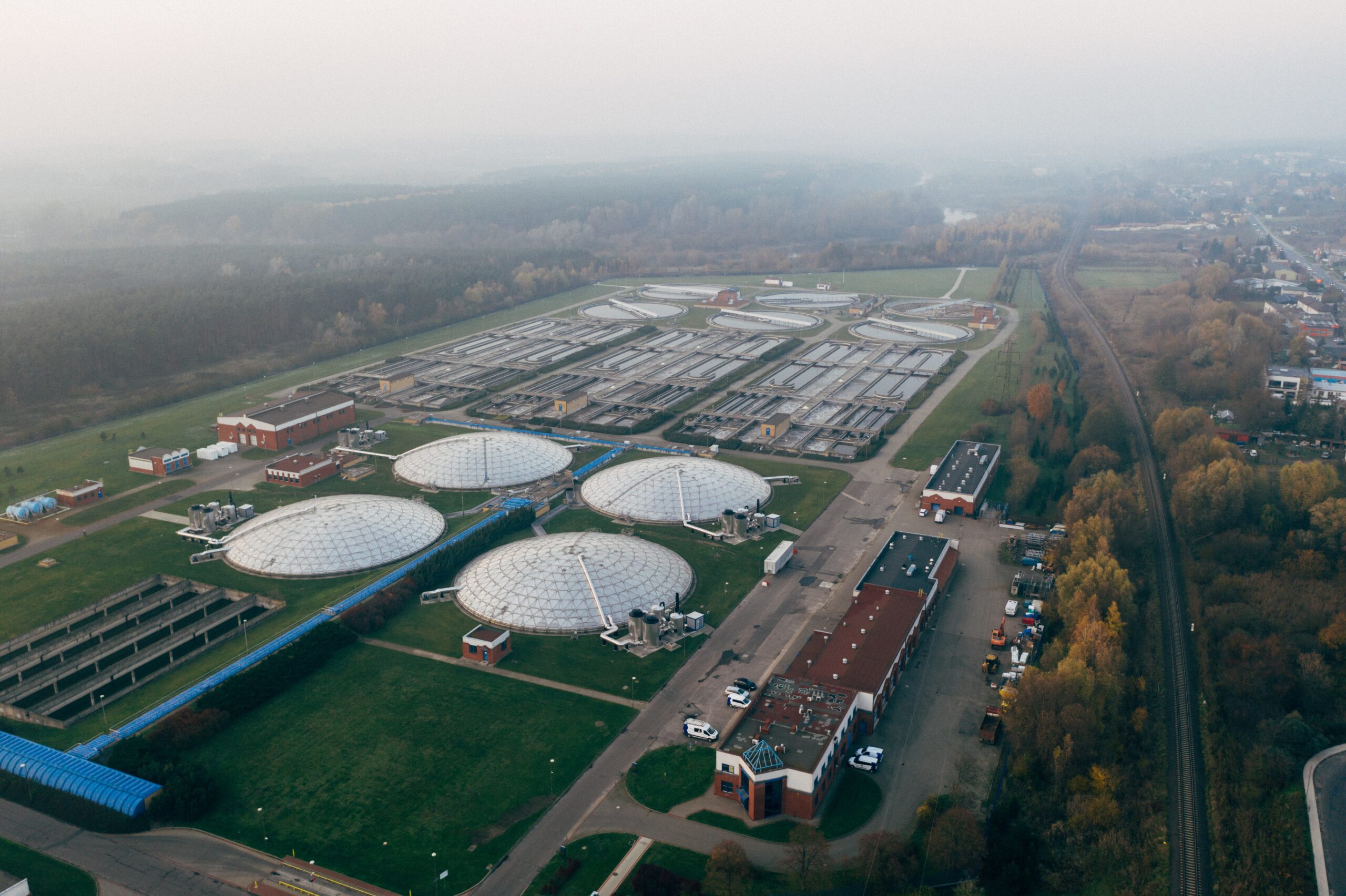 Water Plant